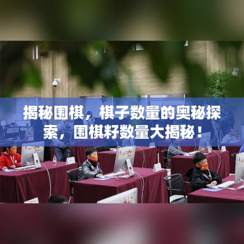 揭秘围棋，棋子数量的奥秘探索，围棋籽数量大揭秘！