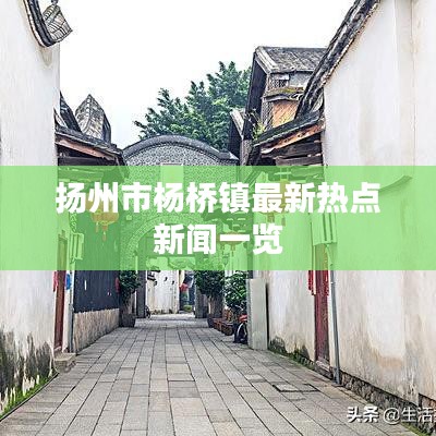 扬州市杨桥镇最新热点新闻一览