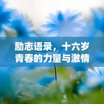 励志语录，十六岁青春的力量与激情澎湃