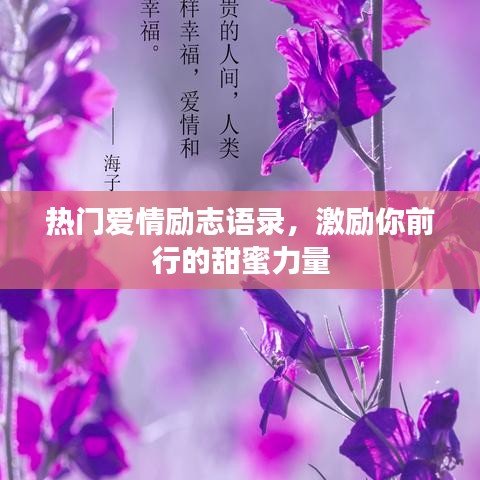 热门爱情励志语录，激励你前行的甜蜜力量