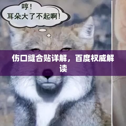 伤口缝合贴详解，百度权威解读
