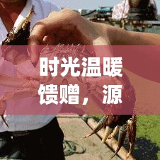 时光温暖馈赠，源源不绝的恩惠
