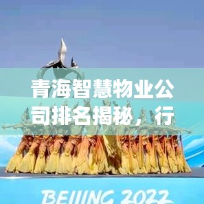 青海智慧物业公司排名揭秘，行业洞察与深度分析