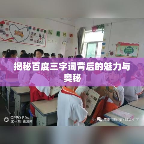 揭秘百度三字词背后的魅力与奥秘