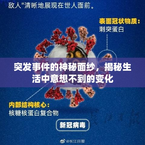 突发事件的神秘面纱，揭秘生活中意想不到的变化