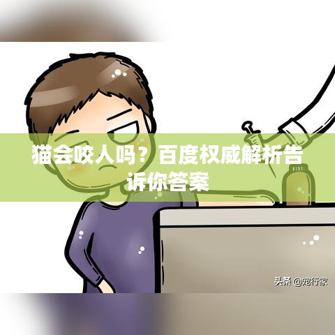 猫会咬人吗？百度权威解析告诉你答案