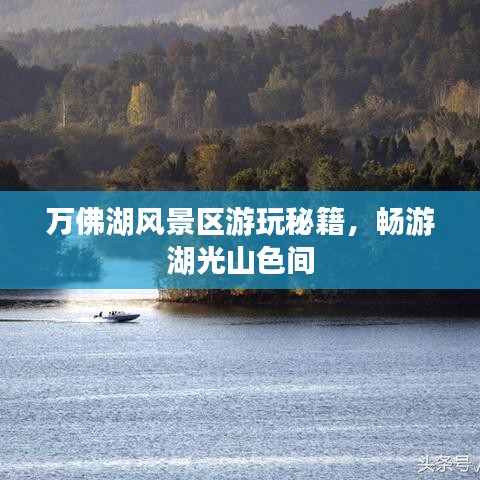 万佛湖风景区游玩秘籍，畅游湖光山色间