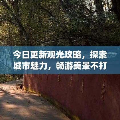 今日更新观光攻略，探索城市魅力，畅游美景不打烊