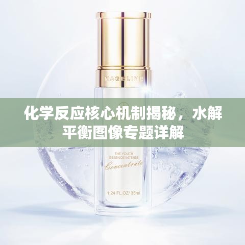 化学反应核心机制揭秘，水解平衡图像专题详解
