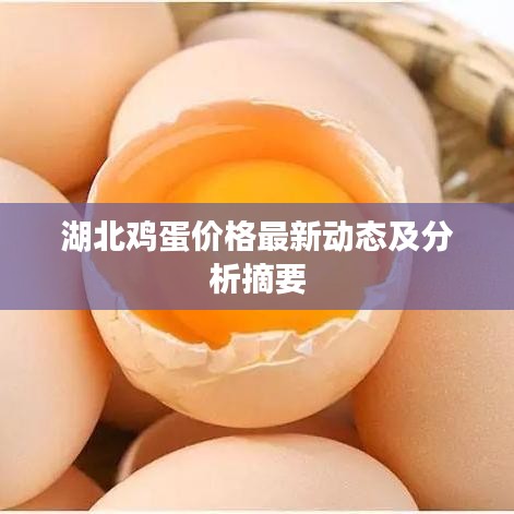 湖北鸡蛋价格最新动态及分析摘要