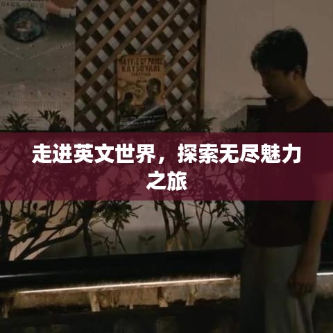 走进英文世界，探索无尽魅力之旅