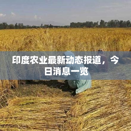 明目张胆 第2页