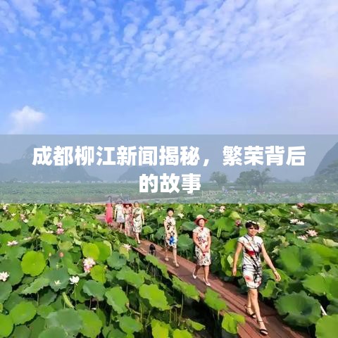 成都柳江新闻揭秘，繁荣背后的故事