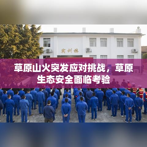 草原山火突发应对挑战，草原生态安全面临考验