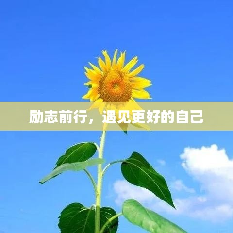励志前行，遇见更好的自己