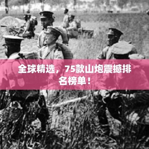 全球精选，75款山炮震撼排名榜单！