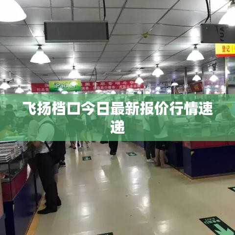 飞扬档口今日最新报价行情速递