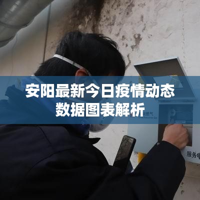 安阳最新今日疫情动态数据图表解析