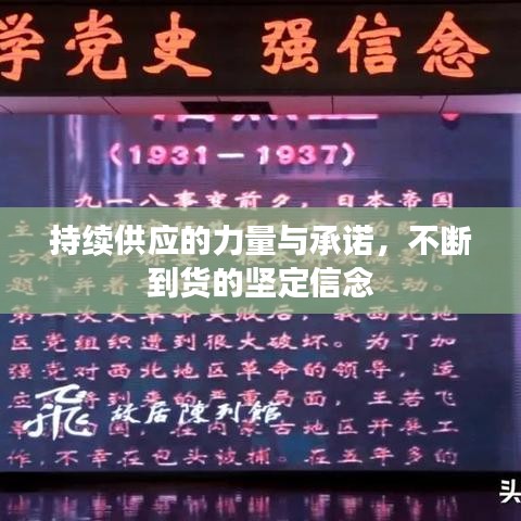 持续供应的力量与承诺，不断到货的坚定信念