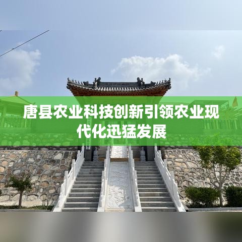 唐县农业科技创新引领农业现代化迅猛发展