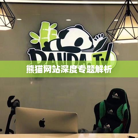 熊猫网站深度专题解析