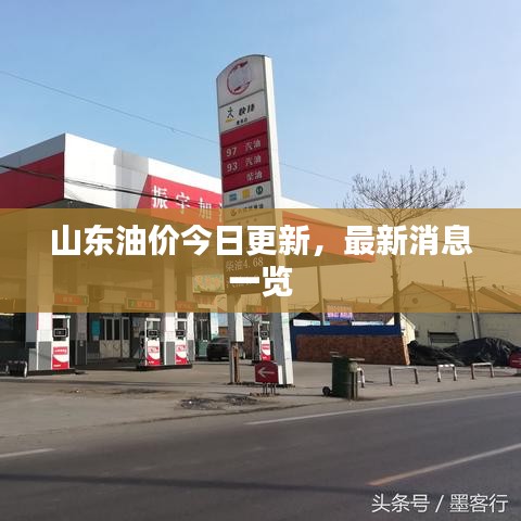 山东油价今日更新，最新消息一览