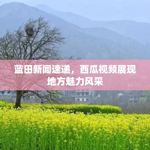 蓝田新闻速递，西瓜视频展现地方魅力风采