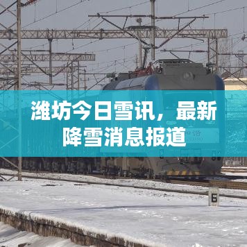 潍坊今日雪讯，最新降雪消息报道