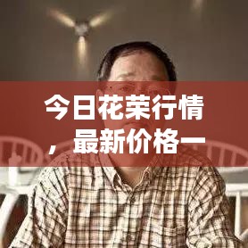 今日花荣行情，最新价格一览