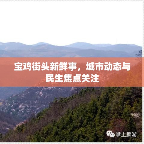 都中纸贵