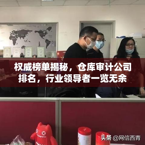 权威榜单揭秘，仓库审计公司排名，行业领导者一览无余