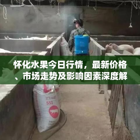 怀化水果今日行情，最新价格、市场走势及影响因素深度解析