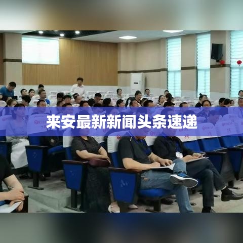 来安最新新闻头条速递