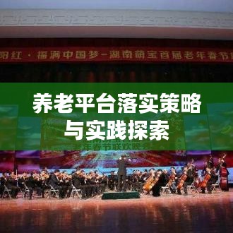 养老平台落实策略与实践探索