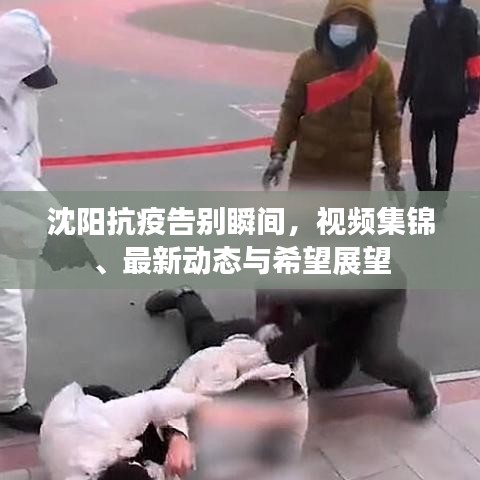 沈阳抗疫告别瞬间，视频集锦、最新动态与希望展望