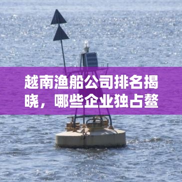 越南渔船公司排名揭晓，哪些企业独占鳌头？