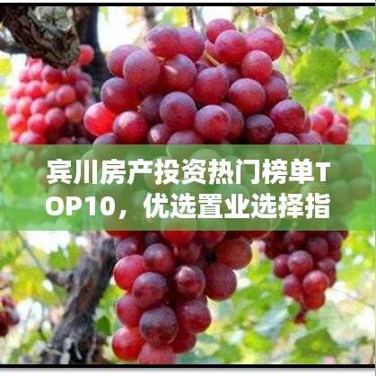 宾川房产投资热门榜单TOP10，优选置业选择指南