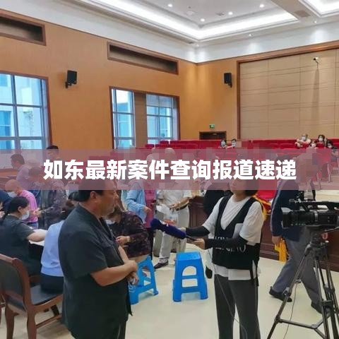如东最新案件查询报道速递