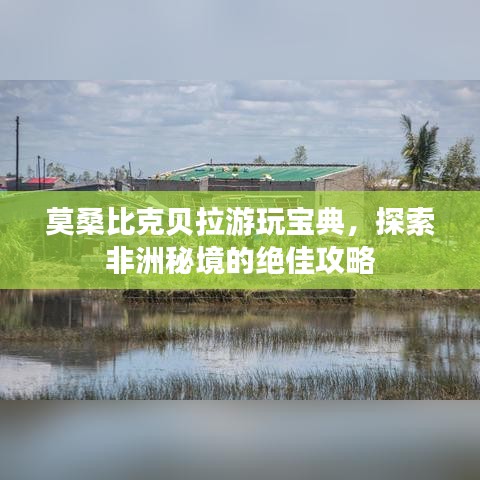 莫桑比克贝拉游玩宝典，探索非洲秘境的绝佳攻略