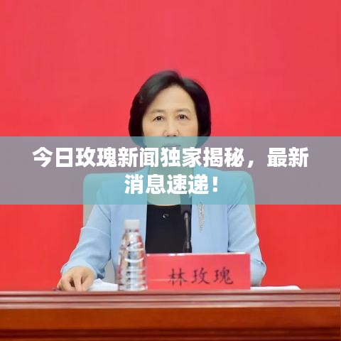 今日玫瑰新闻独家揭秘，最新消息速递！