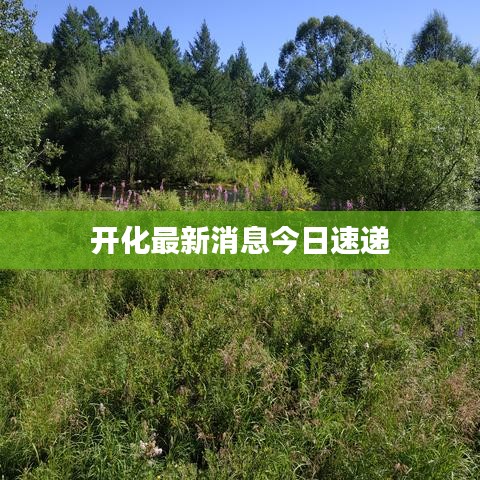 束手就缚