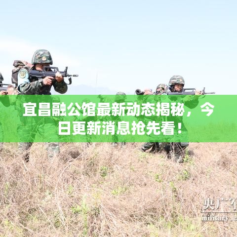 宜昌融公馆最新动态揭秘，今日更新消息抢先看！