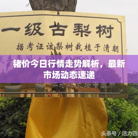 锗价今日行情走势解析，最新市场动态速递