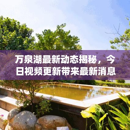 万泉湖最新动态揭秘，今日视频更新带来最新消息速递