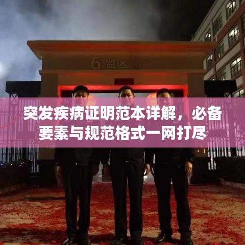 突发疾病证明范本详解，必备要素与规范格式一网打尽
