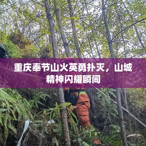 重庆奉节山火英勇扑灭，山城精神闪耀瞬间