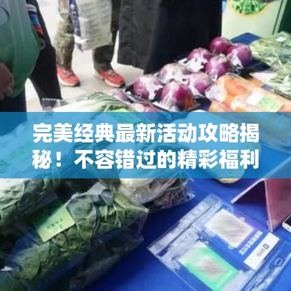完美经典最新活动攻略揭秘！不容错过的精彩福利一网打尽！