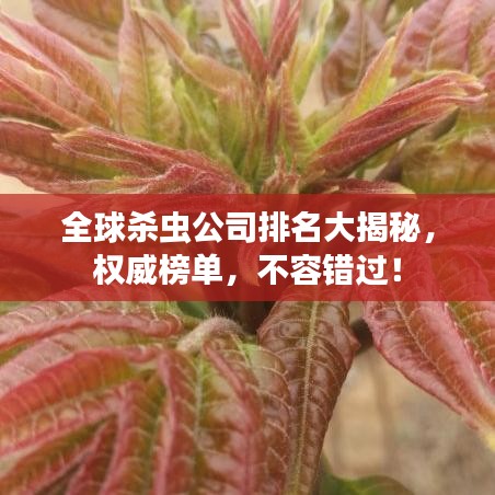 全球杀虫公司排名大揭秘，权威榜单，不容错过！