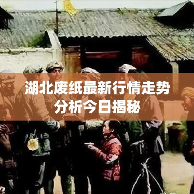 湖北废纸最新行情走势分析今日揭秘