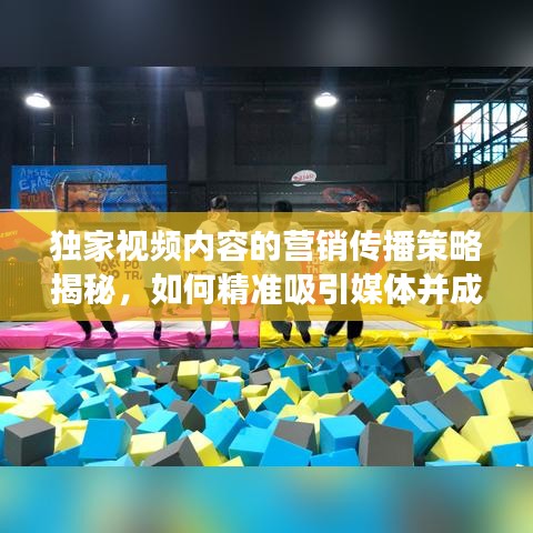独家视频内容的营销传播策略揭秘，如何精准吸引媒体并成功合作？